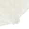 12 Packs: 100 ct. (1,200 total) 0.5" Adhesive Dots by Recollections™